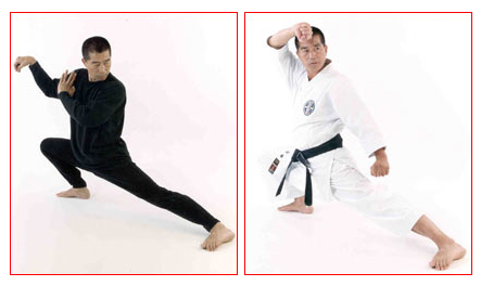 Master-Sato---Kata-Taichi-pose